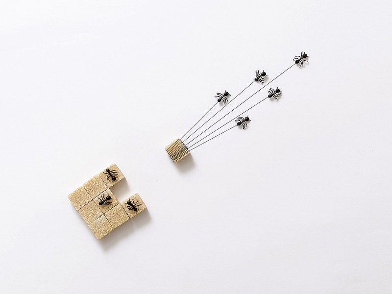 Leandro Cubillas Perez