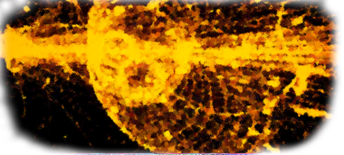 Avanced Nuclear Technologies