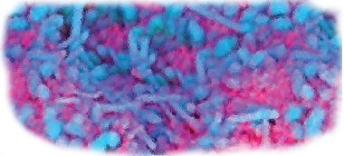 Group of Characterization of Materials